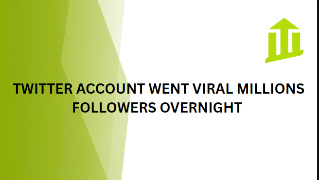 Twitter Account Went Viral Millions Followers Overnight