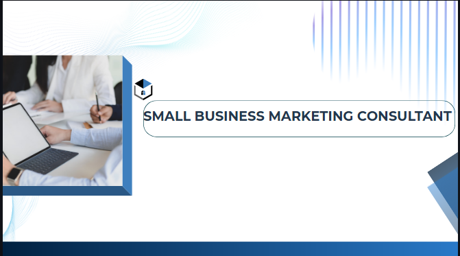 Small Business Marketing Consultant